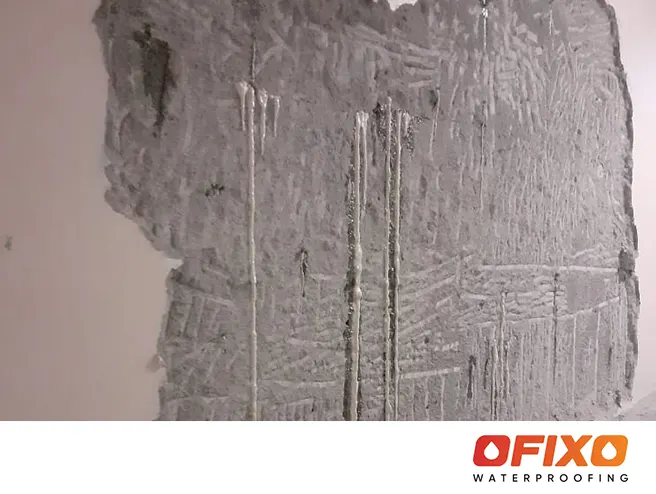 Live Leakage Injection in Dubai