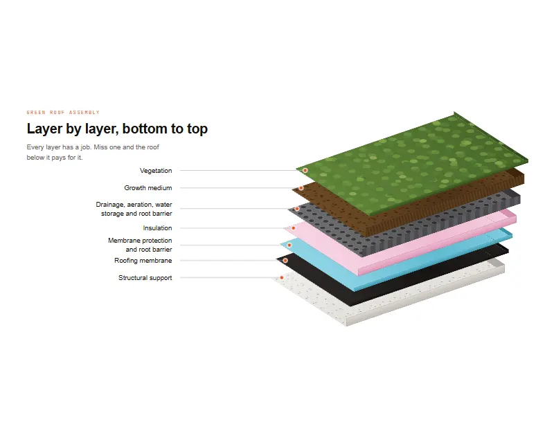 Blue-Green Roof Systems for UAE Buildings